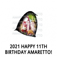 2021 Happy 11th Birthday Amaretto! Eye