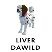 Liver Dawild