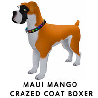 Maui Mango Crazed Coat Boxer