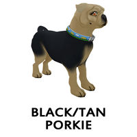 Black/Tan Porkie