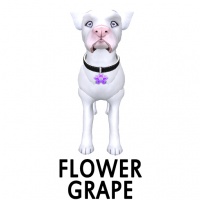 Flower- Grape