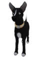 JackRussellTerrierMutt2.png