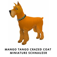 Mango Tango Crazed Coat Miniature Schnauzer