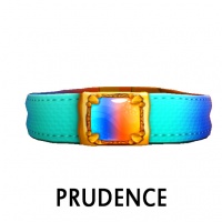 Prudence Collar