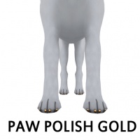 Gold Paw Polish