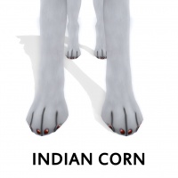 Indian Corn Paw Polish