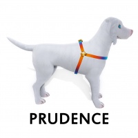 Prudence