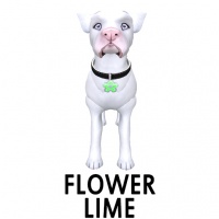 Flower- Lime