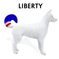 Dipped Tail Liberty