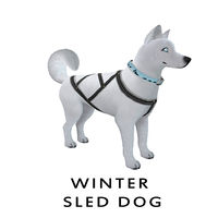 2013 Holiday K9 Winter Sled Dog