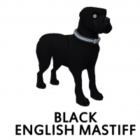 Black English Mastiff