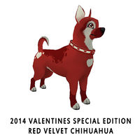 2014 Valentines Special Edition Red Velvet Chihuahua