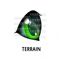 Terrain Eye