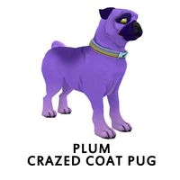 Plum Crazed Coat Pug