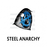 Steel Anarchy