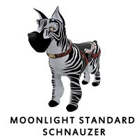 Moonlight Standard Schnauzer