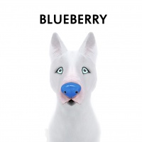 Blueberry Nose