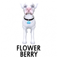 Flower- Berry