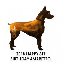 Happy 8th Birthday Amaretto!