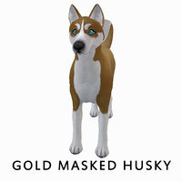 Gold Masked Husky