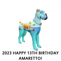 2023 Happy 13th Birthday Amaretto!