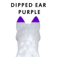 Dipped Ear Purple