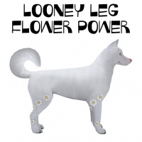 Looney Leg Flower Power