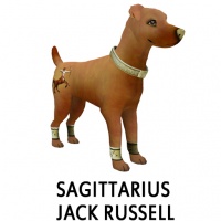 Sagittarius Jack Russell