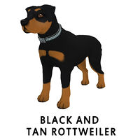 Black And Tan Rottweiler