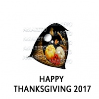 Happy Thanksgiving 2017 Eye