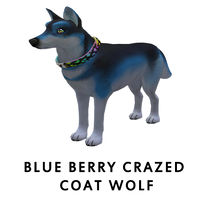 Blue Berry Crazed Coat Wolf