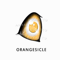 Orangesicle