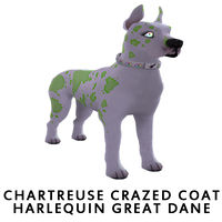 Chartreuse Crazed Coat Harlequin Great Dane