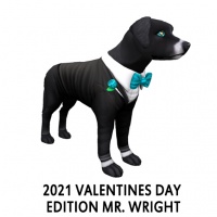 2021 Valentines Day Edition – Mr. Wright