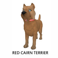 Red Cairn Terrier