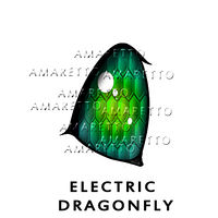 Electric Dragonfly Eye