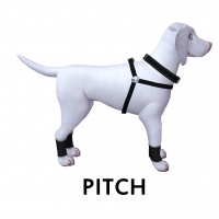 Pitch