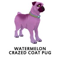 Watermelon Crazed Coat Pug