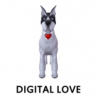 Digital Love