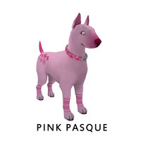 Pink Pasque Front