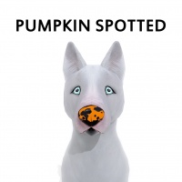 Pumpkin Spotted