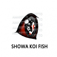 Showa Koi Fish Eye