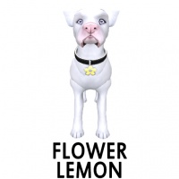 Flower- Lemon