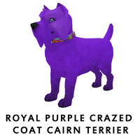 Royal Purple Crazed Coat Cairn Terrier