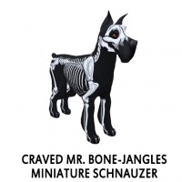 Craved Mr. Bone-jangles Miniature Schnauzer