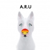 A.R.U.