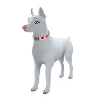 Blanco Doberman