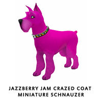 Jazzberry Jam Crazed Coat Miniature Schnauzer