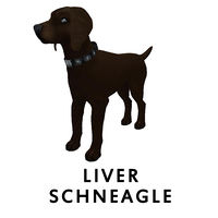 Liver Schneagle