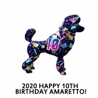 2020 Happy 10th Birthday Amaretto!